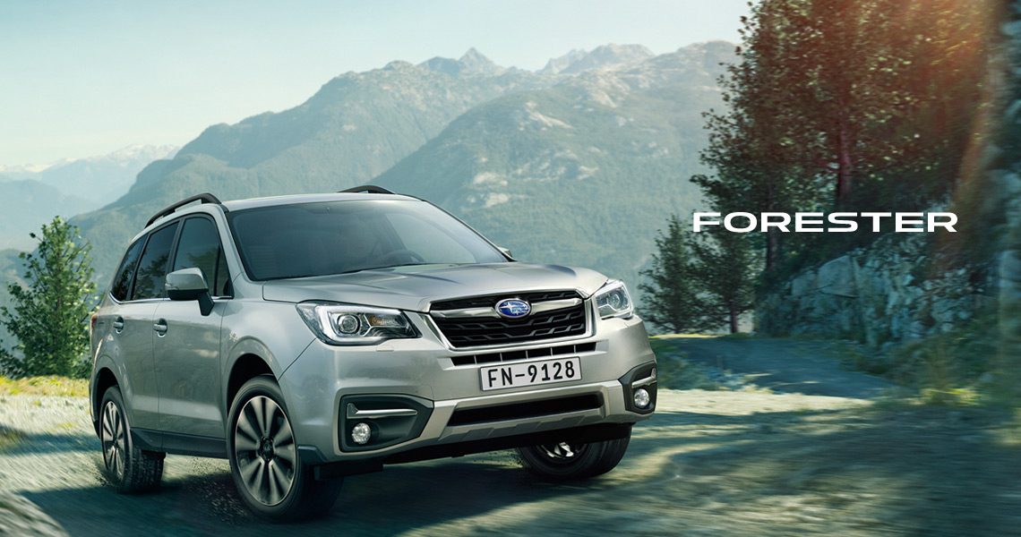 Ehom Auto banner